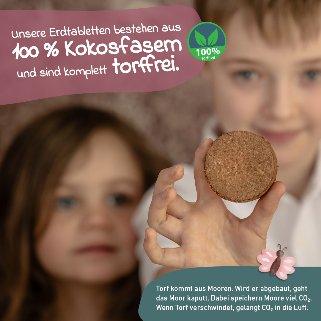 Kinder Anzuchtset für Zuhause – Holzbox zum Bemalen, Microgreens Starter Set – Experimentierkasten & Pflanzset für Kinder, Geschenk für Mädchen & Jungen 